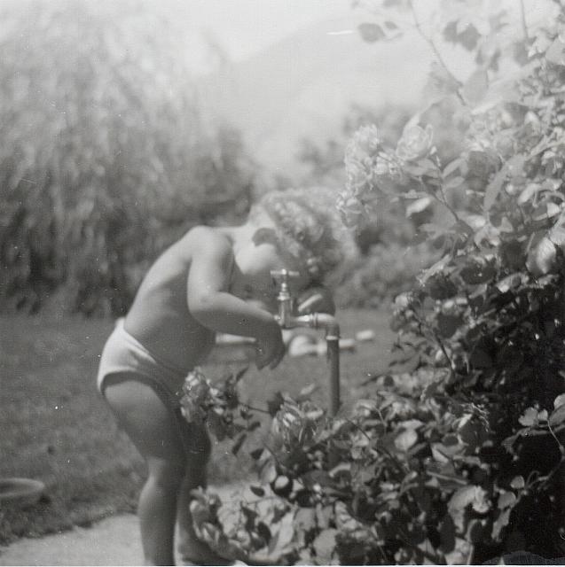 Album 10 002 C-1957-292 g