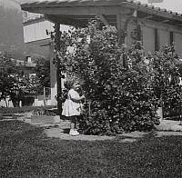 Album 10 002 C-1957-292 d