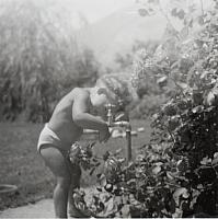 Album 10 002 C-1957-292 g