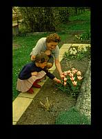 D-01-062-M-00-X0004 Ga